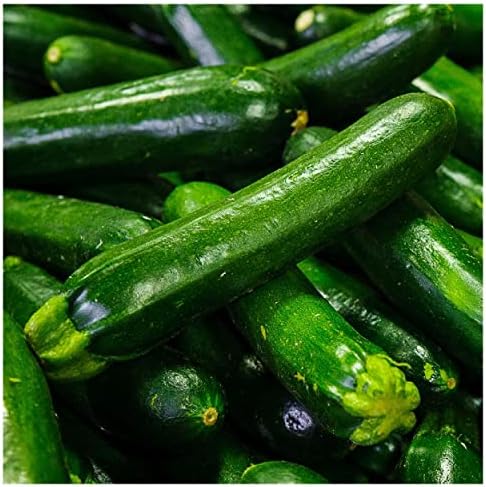 1/4 Lb Dark Green Zucchini Summer Squash Seeds - Gold Vault by Everwilde+Farms