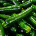 1/4 Lb Dark Green Zucchini Summer Squash Seeds - Gold Vault by Everwilde+Farms