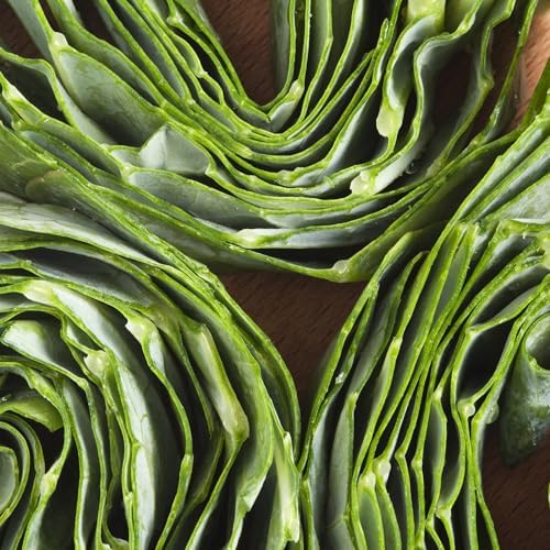 8000+ Collard Green Seeds for Planting - Heirloom Non-GMO - Image 6