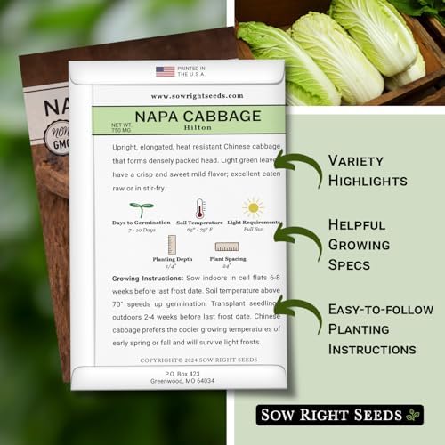 Sow Right Seeds - Hilton Napa Cabbage Seed for Planting Asian Vegetables - Image 2