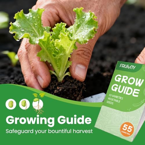 Vegetable Seeds Variety Pack (Vegetable Seeds) - Image 5