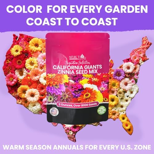 NatureZ Edge Zinnia Seeds for 2026 Planting Outdoors, Over 8250 Flower Seeds, 2 Oz, Non GMO Made in USA, Bulk Semillas De Flores para Sembrar, California Giants, Easy to Grow Zinnia Seed Mix - Image 6