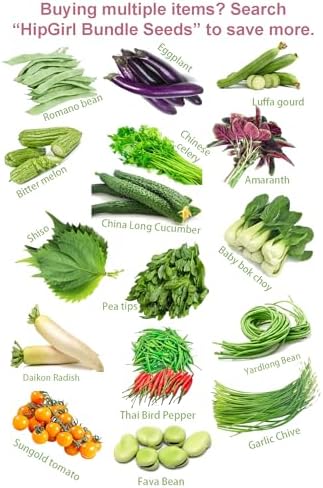 Bean Seeds for Planting Vegetables and Fruits. Pole Beans,Bush Beans,Romano Beans.Non GMO Garden Seeds for Home Vegetable Garden-Organic Stringless Heirloom Romano Green Pole Bean Seeds Helda-30ct+ - Image 5