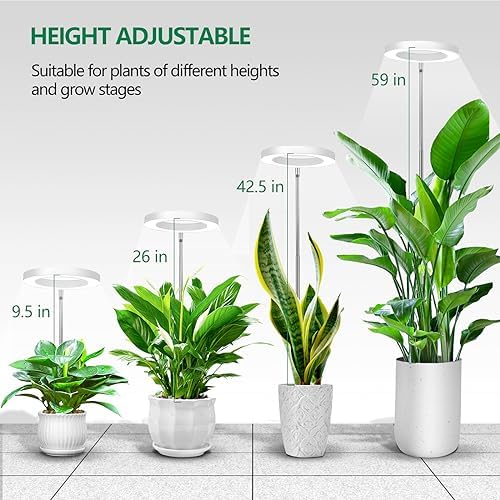 WaterRebirth PGL06 Ring Plant Grow Light, 6.3 Inch 14W Full Spectrum Grow Lamp with Timer, 10 Brightness & 3 Modes, Adjustable Height 9.5‑59 Inch for Large Potted Indoor Plants - Image 2