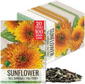 Seed Needs Tall Teddy Sunflower Seeds to Plant Cut Flowers - 20 Packs by SeedNeeds