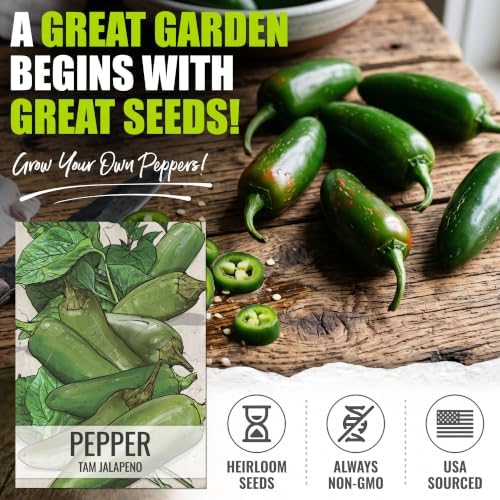 Seed Needs TAM Jalapeño Hot Pepper Seeds to Plant Vegetables - 2 Packs - Image 2