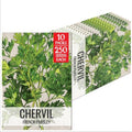 Seed Needs Chervil Seeds to Plant an Herb Garden - 10 Packs by SeedNeeds