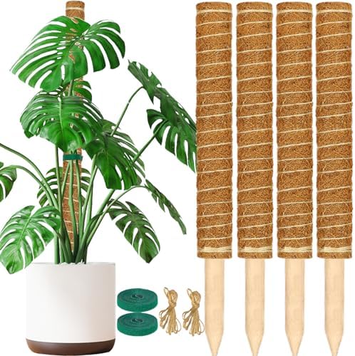 ALENEY Moss Pole, 4 Pack 17inch Monstera Plant Support Stackable Moss Poles for Plants, Coir Totem Pole Tall Moss Pole for Climbing Plants, Sphagnum, Indoor Potted Plants - Can Stacked Up to 56’’ by ALENEY