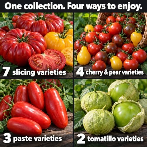 Gardeners Basics 16 Variety Tomato and Tomatillo Seeds for Planting - Image 3