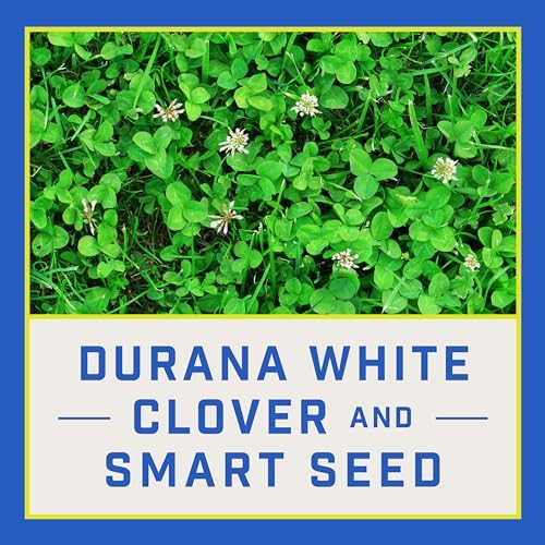 Pennington Clover Grass Seed Mix for Lawn, 7 Pounds (Pack of 4) - Image 4