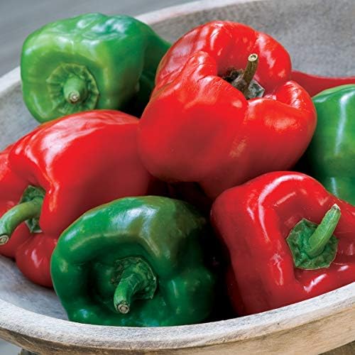 Burpee California Wonder (Organic) Sweet Pepper Seeds 300 seeds - Image 6