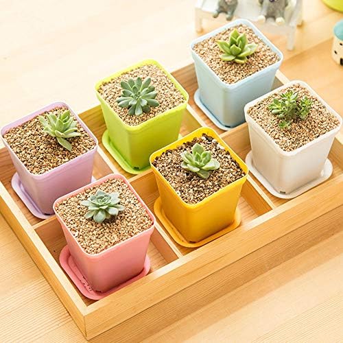 24 Pack 3inch Multi Color Square Plastic Plant Pots,Seedling Nursery Transplanting Planter Container Indoor Outdoor for Your Room,Garden Office and Balcony Decor - Image 5
