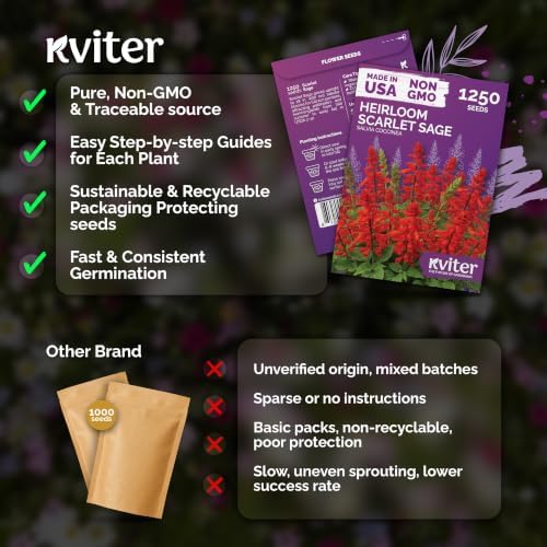 1,250 Scarlet Sage Heirloom Flower Seeds for Planting, Salvia Coccinea - Image 5