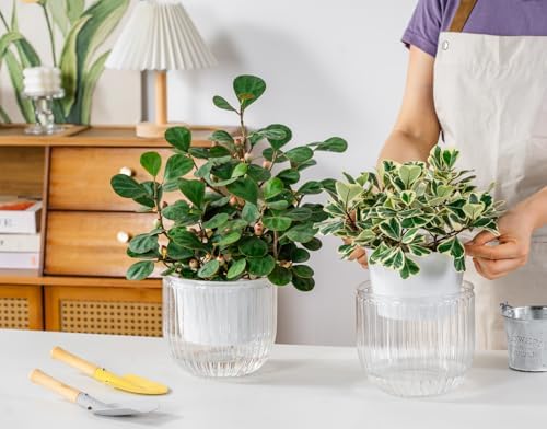 Melphoe 2 Pack Self Watering Hanging Planters Indoor Flower Pots, 6.5 Inch Outdoor Hanging Plant Pot Basket, Plant Hanger with 3Hooks Drainage Holes for Garden Home - Image 4