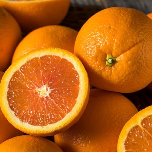 Navel Orange Tree Plant Live, Hardy Garden Plant, 1-2 Ft Tall, 1 Gallon Pot - Image 6