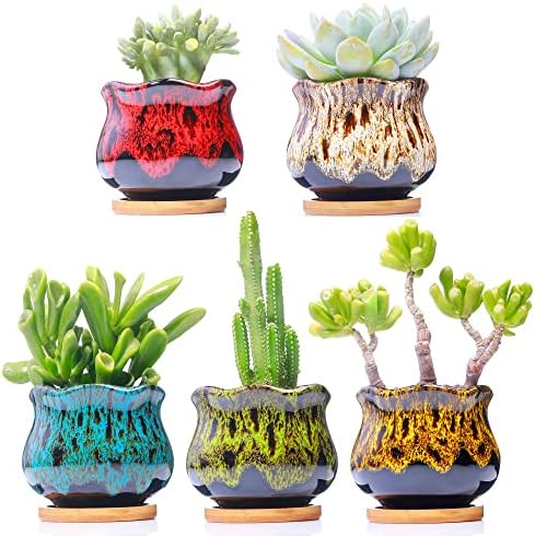 Cute Ceramic Succulent Garden Pots, Planter with Drainage and Attached Saucer, Set of 5 -Plants Not Included (Fambe) by LamDawn