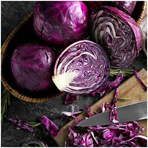1 Lb Organic Red Express Cabbage Seeds - Gold Vault Packet - Image 2