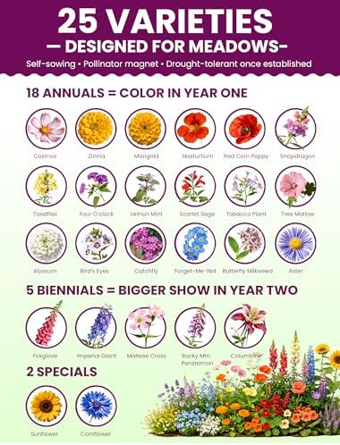 Wildflower Seeds – Massive Meadow Mix, 25 Heirloom Varieties (18 Annuals + 5 Biennials + 2 Specials), 135,000+ Seeds (1lb) Covers 2250-2800 sq.ft., High Germination for Large Outdoor Pollinator Garden - Image 2