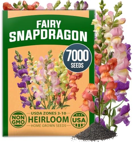 HOME GROWN Fairy Snapdragon Seeds, 7,000 Seeds, Linaria maroccana by HOMEGROWN