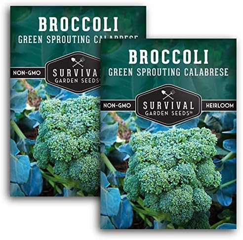 Green Sprouting Calabrese Broccoli Seeds for Planting (2 Packs) by SurvivalGardenSeeds