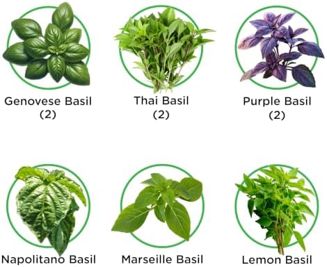 Basil Blend Seed Pod Kit - Pre-Seeded & Hand Made in the USA - Image 2
