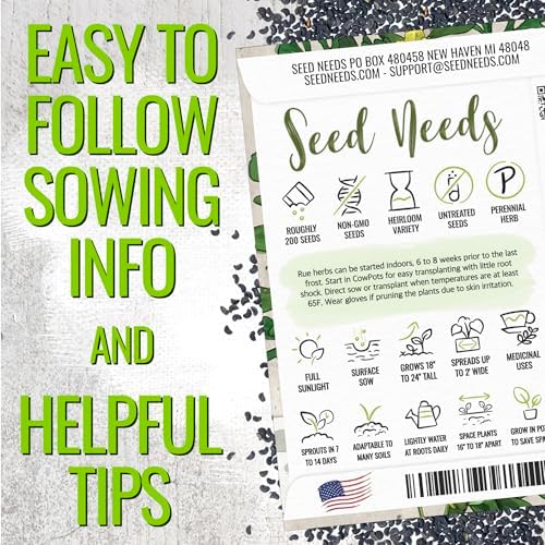 Seed Needs Rue Seeds to Plant an Herb Garden - 10 Packs - Image 4