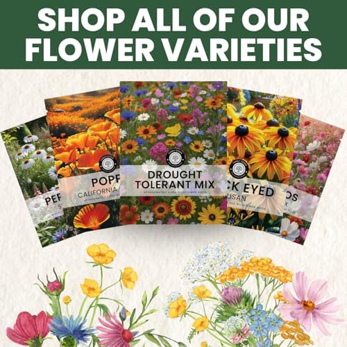 Drought Tolerant Mix – 4,000 Seeds for Planting – 2026 Season – 5 Gram Pouch - Image 6