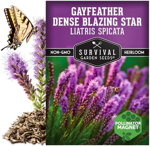 Dense Blazing Star Seeds for Planting - Gayfeather Wildflower (2 Pack) - Image 5