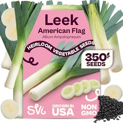 SVI 350 Large American Flag Leek Seeds (Allium ampeloprasum) – Culinary Leek Seed Packets – Cold Hardy Heirloom Vegetable Seeds Vegetable Garden, Home Garden Beds, Greenhouse & Outdoor Growing by SVI