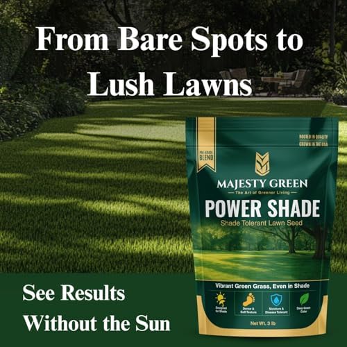 Power Shade Grass Seed for Shady & Low Light Lawns, 3 lb Pack - Image 6
