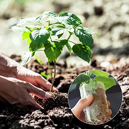 GREANER 200PCS Plant Nursery Bags, 3.5"x4.7" Biodegradable Non-Woven Fabric Plant Seeding Grow Bags, Vegetables Fabric Plant Seedling Pots, Transplant Pots Grow Pouch, Home Garden Supply - Image 5