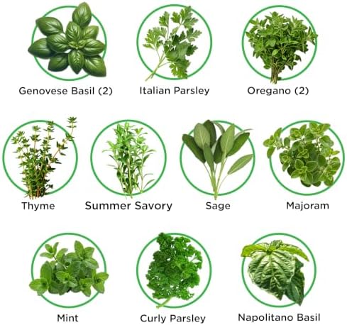 Italian Herbs Seed Pod Kit - Pre-Seeded & Hand Made in the USA - Image 2