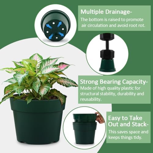 RooTrimmer 15 Pack 4/6/8 Inch Plant Nursery Pots, Sturdy Plant Pots with Drainage Holes, Ideal for Seedlings, Indoor/Outdoor Use, Green - Image 3