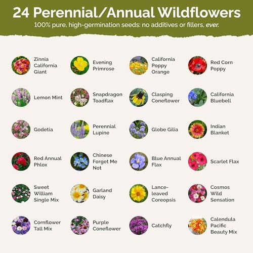 Eden Brothers Heirloom Flower Mixed Seeds for Planting, 10 lb, 4,800,000+ Seeds with Zinnia, Toadflax, Evening Primrose | Attracts Pollinators, Plant in Spring or Fall, Zones 3, 4, 5, 6, 7, 8, 9, 10 - Image 3