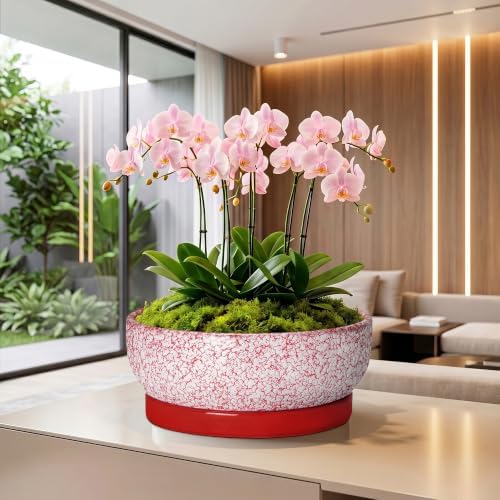 Succulent Pots 13 Inch, Ceramic Bonsai Tree Pots, Texture Red - Image 5
