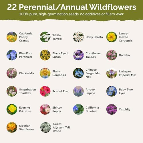 Eden Brothers California Wildflower Mixed Seeds for Planting, 25 lb, 12,000,000+ Seeds with Black Eyed Susan, Shasta Daisy, Attracts Pollinators, Plant in Spring or Fall, Zones 3, 4, 5, 6, 7, 8, 9, 10 - Image 3