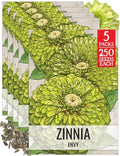 Seed Needs Envy Zinnia Seeds to Plant Cut Flowers - 5 Packs by SeedNeeds