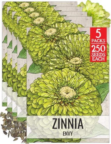 Seed Needs Envy Zinnia Seeds to Plant Cut Flowers - 5 Packs by SeedNeeds