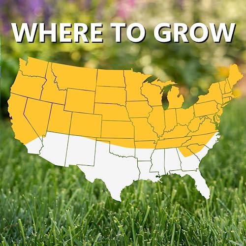Jonathan Green Black Beauty Tall Fescue Grass Seed Blend - 25 lb - Image 4