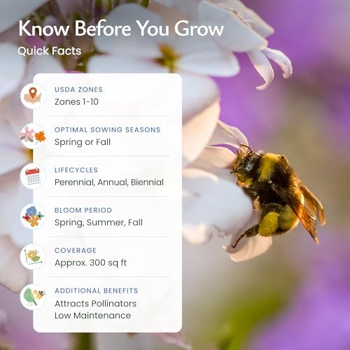 Bee & Butterfly Wildflower Seed Mix, 30,000 Seeds, Covers 300 Sq Ft - Image 5