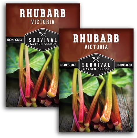 Victoria Rhubarb Seeds for Planting - 2 Packs by SurvivalGardenSeeds