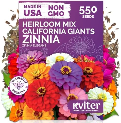 550 California Giant Zinnia Heirloom Flower Seeds, Zinnia Elegans by KVITER