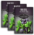 Basil Seeds Mix for Planting - Survival Garden Seeds (3 Pack) by SurvivalGardenSeeds