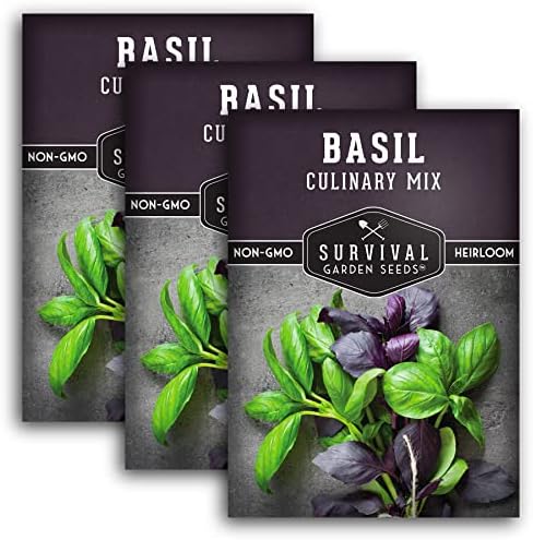 Basil Seeds Mix for Planting - Survival Garden Seeds (3 Pack) by SurvivalGardenSeeds