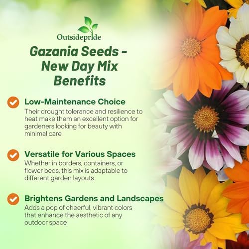 Outsidepride New Day Mixed Gazania Seeds for Planting – 25 Pcs Perennial, Low-Maintenance, Drought-Tolerant Ground Cover Seeds for Vibrant Summer & Fall Flowers, Great for Outdoor Gardens - Image 3