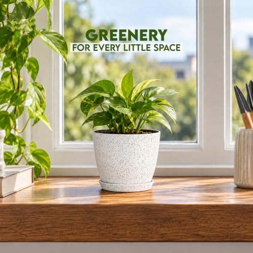 Plant Pots Indoor with Drainage 5 Pack Multi-Size Planters Set Spotty Grey - Image 5