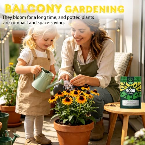 Brown-Eyed Susan Seeds for Planting, 5000 Biennial Rudbeckia Triloba - Image 2