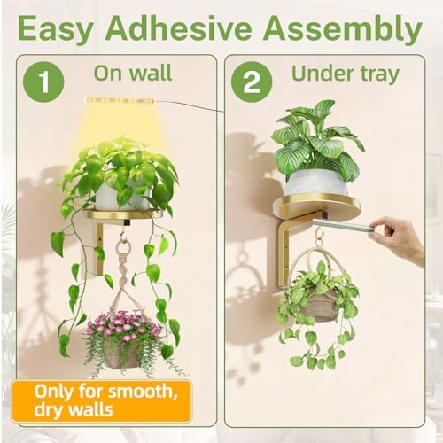 Plant Wall Hanger with Grow Lights Set of 2 for Indoor, Gold - Image 6
