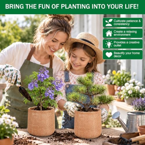 Bonsai Tree Starter Kit for Gardening Lovers Beginners - Image 6