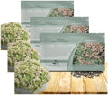Outsidepride Hispanicum Sedum Seeds - 1000 Pcs Perennial Ground Cover Seeds for Planting, Cold-Hardy & Heat-Tolerant Succulent Plants, Ideal for Rock Gardens, Containers, and Xeriscaping (Pack of 3) by Outsidepride